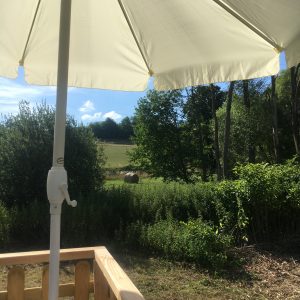 Tiny House Aussicht, https://auszeit-france.fr/, Urlaub in Frankreich